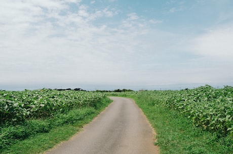 青藏铁路全长