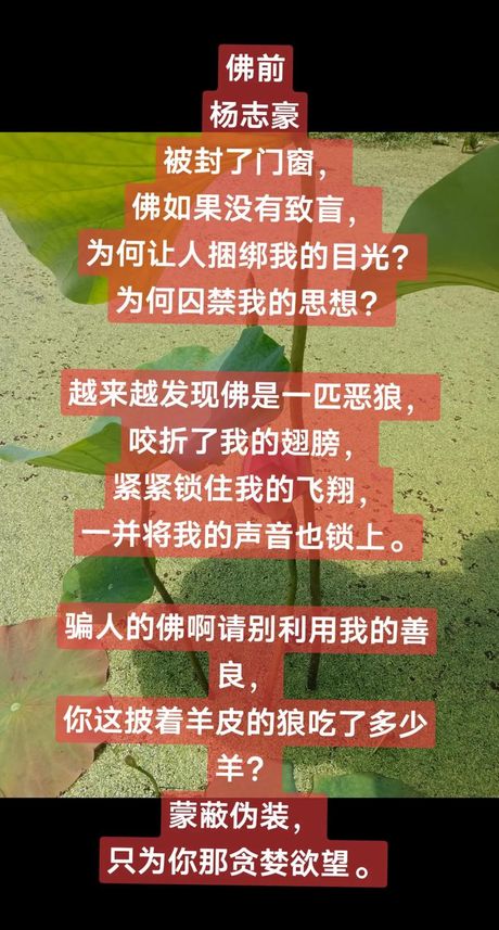 惺末是什么意思，揭秘惺末是什么意思