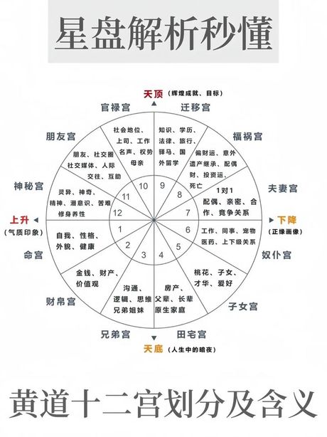 爱星盘，【爱星盘】可不仅仅是星座解析