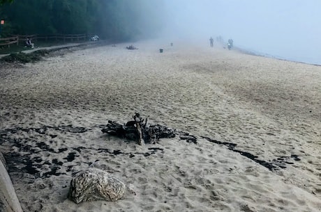 内蒙古额济纳旗通报19例确诊详情 我旗新增无症状感染者3例