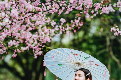 一苇渡江，千古风流