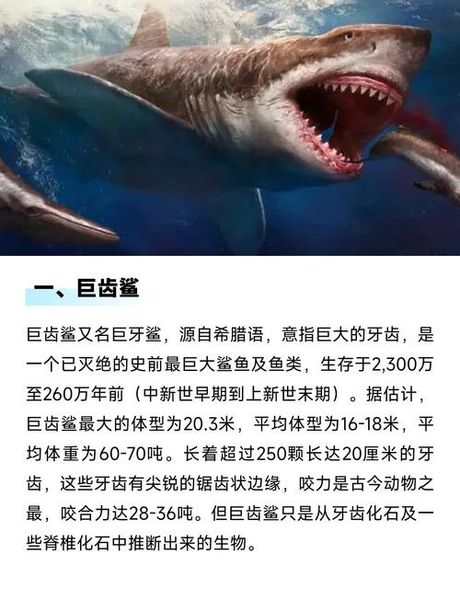 海王类，你了解海王类吗？海洋中的“独霸者”