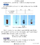 氧化亚铁，氧化亚铁的百科介绍