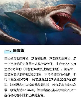 海王类，你了解海王类吗？海洋中的“独霸者”