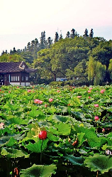 余杭区：杭州的“后花园”，旅游胜地